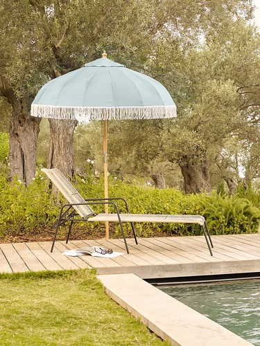 Elegant green lily pad - elegant, parasol
